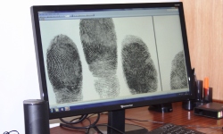 NFA Fingerprinting